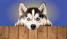 Load image into Gallery viewer, Dog Breed Faux Leather Keyrings – Cute Sublimated Designs