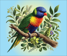 Load image into Gallery viewer, Tasmanian Native Birds Mouse Mats – Sublimated Designs
