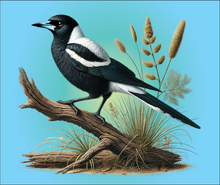 Load image into Gallery viewer, Tasmanian Native Birds Mouse Mats – Sublimated Designs