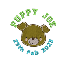 Load image into Gallery viewer, Blue Bear- Personalised Embroidered Zippies by Mumbles