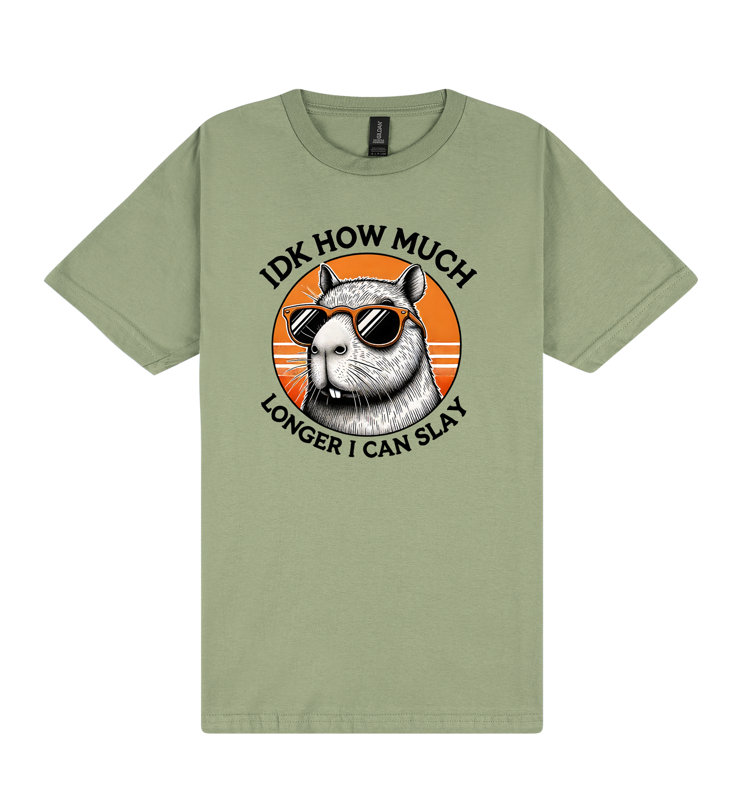 I Don't Know How Much Longer I Can Slay - Capybara Slogan T-Shirt