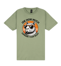 Load image into Gallery viewer, I Don't Know How Much Longer I Can Slay - Capybara Slogan T-Shirt