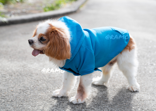 Funny Print Cosy Fleece Dog Hoodie – Adjustable Velcro Fit with Leash Hole