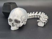 Load image into Gallery viewer, Silver PLA 3D Printed Skull With Articulated Spine