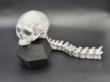 Load image into Gallery viewer, Silver PLA 3D Printed Skull With Articulated Spine