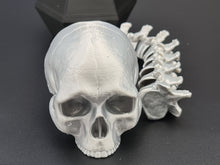 Load image into Gallery viewer, Silver PLA 3D Printed Skull With Articulated Spine