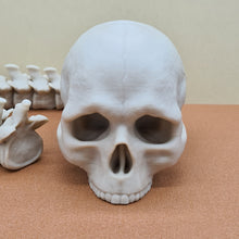 Load image into Gallery viewer, Bone White PLA+ 3D Printed Skull With Articulated Spine