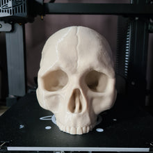 Load image into Gallery viewer, Large PLA 3D Printed Skull Bone White Hex3D Predator Trophy