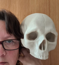 Load image into Gallery viewer, Large PLA 3D Printed Skull Bone White Hex3D Predator Trophy