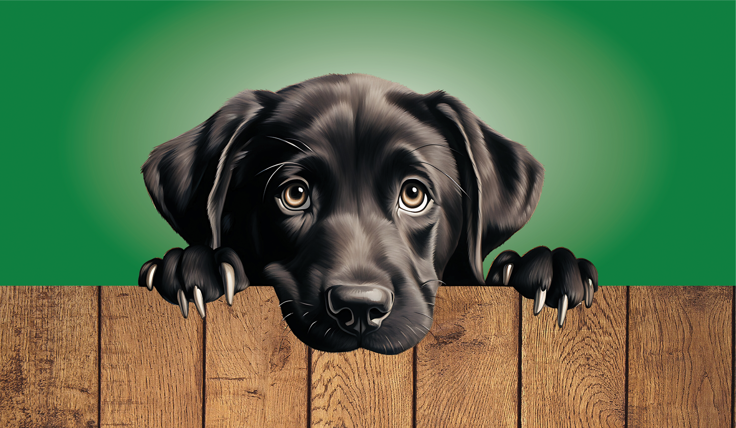 Dog Breed Faux Leather Keyrings – Cute Sublimated Designs