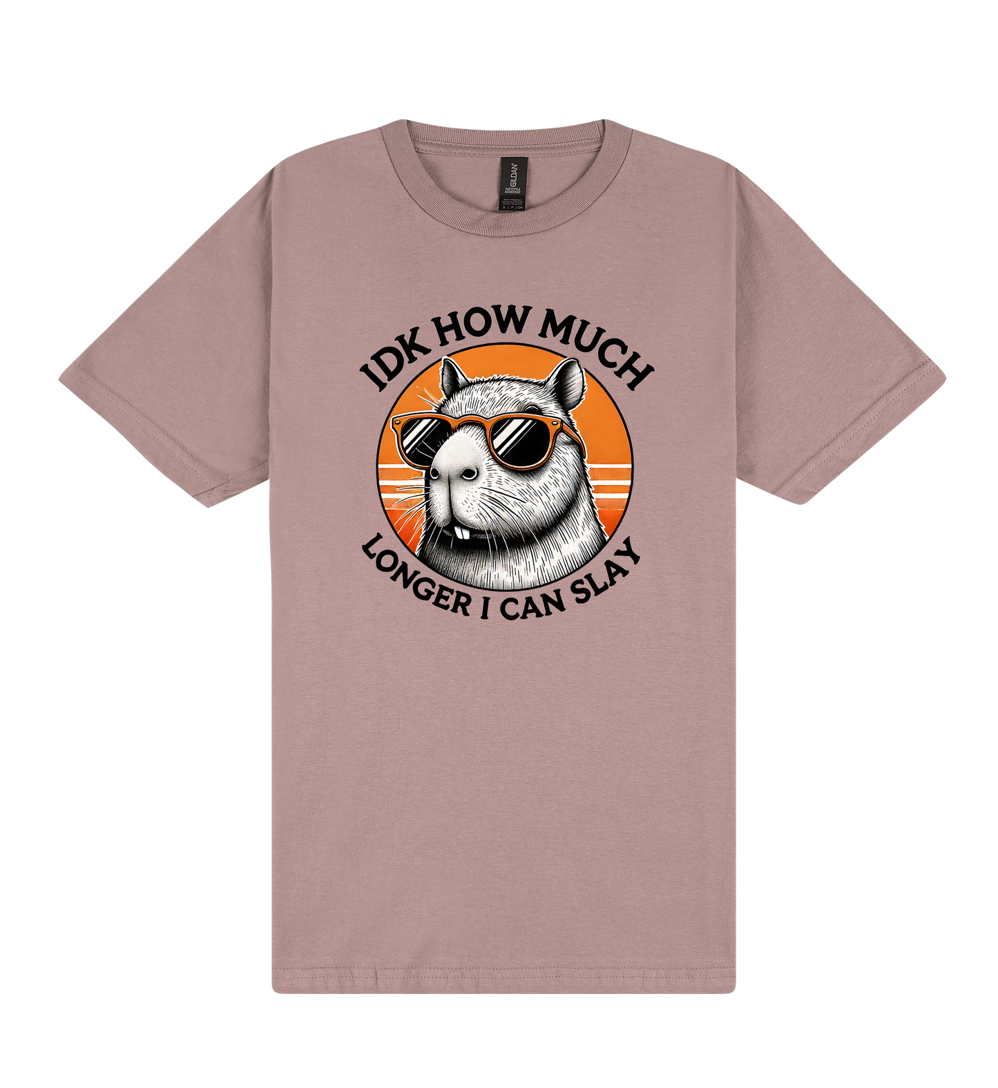 I Don't Know How Much Longer I Can Slay - Capybara Slogan T-Shirt