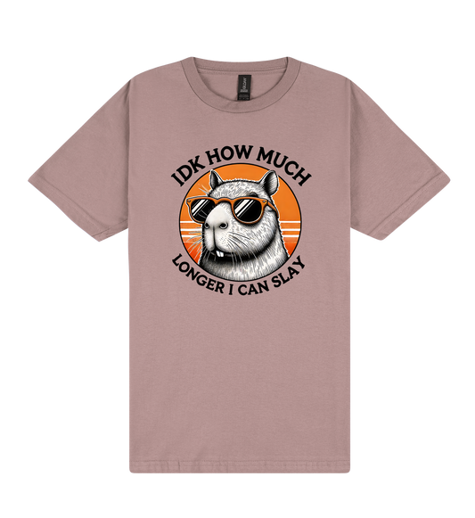 I Don't Know How Much Longer I Can Slay - Capybara Slogan T-Shirt