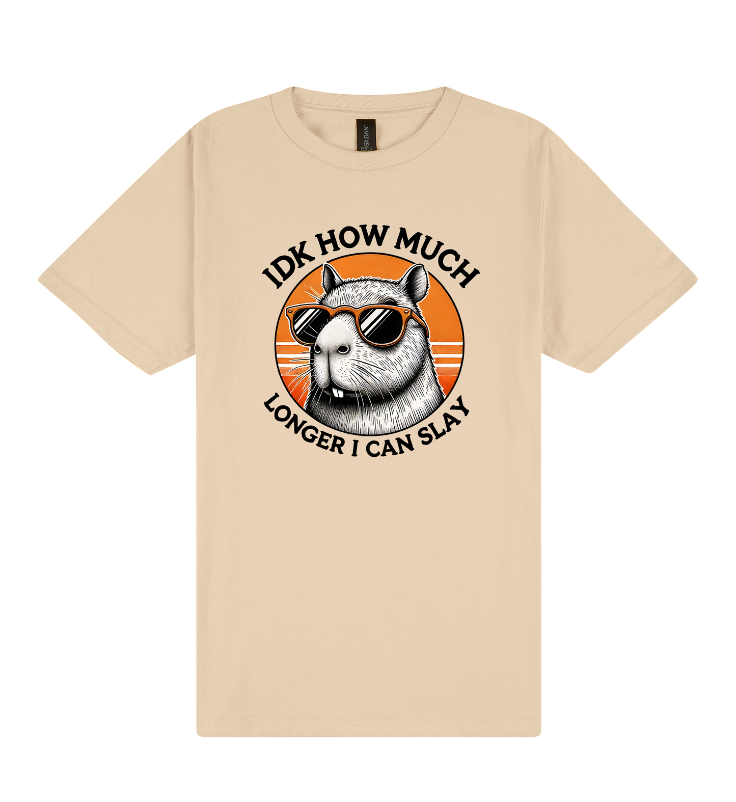 I Don't Know How Much Longer I Can Slay - Capybara Slogan T-Shirt