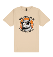 Load image into Gallery viewer, I Don&#39;t Know How Much Longer I Can Slay - Capybara Slogan T-Shirt
