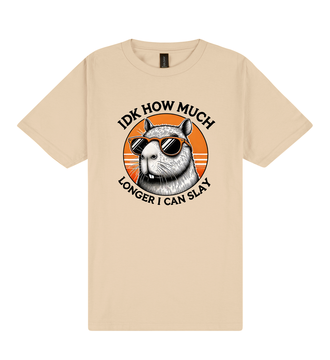 I Don't Know How Much Longer I Can Slay - Capybara Slogan T-Shirt