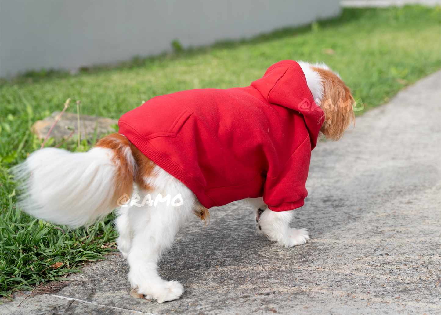 Funny Print Cosy Fleece Dog Hoodie – Adjustable Velcro Fit with Leash Hole
