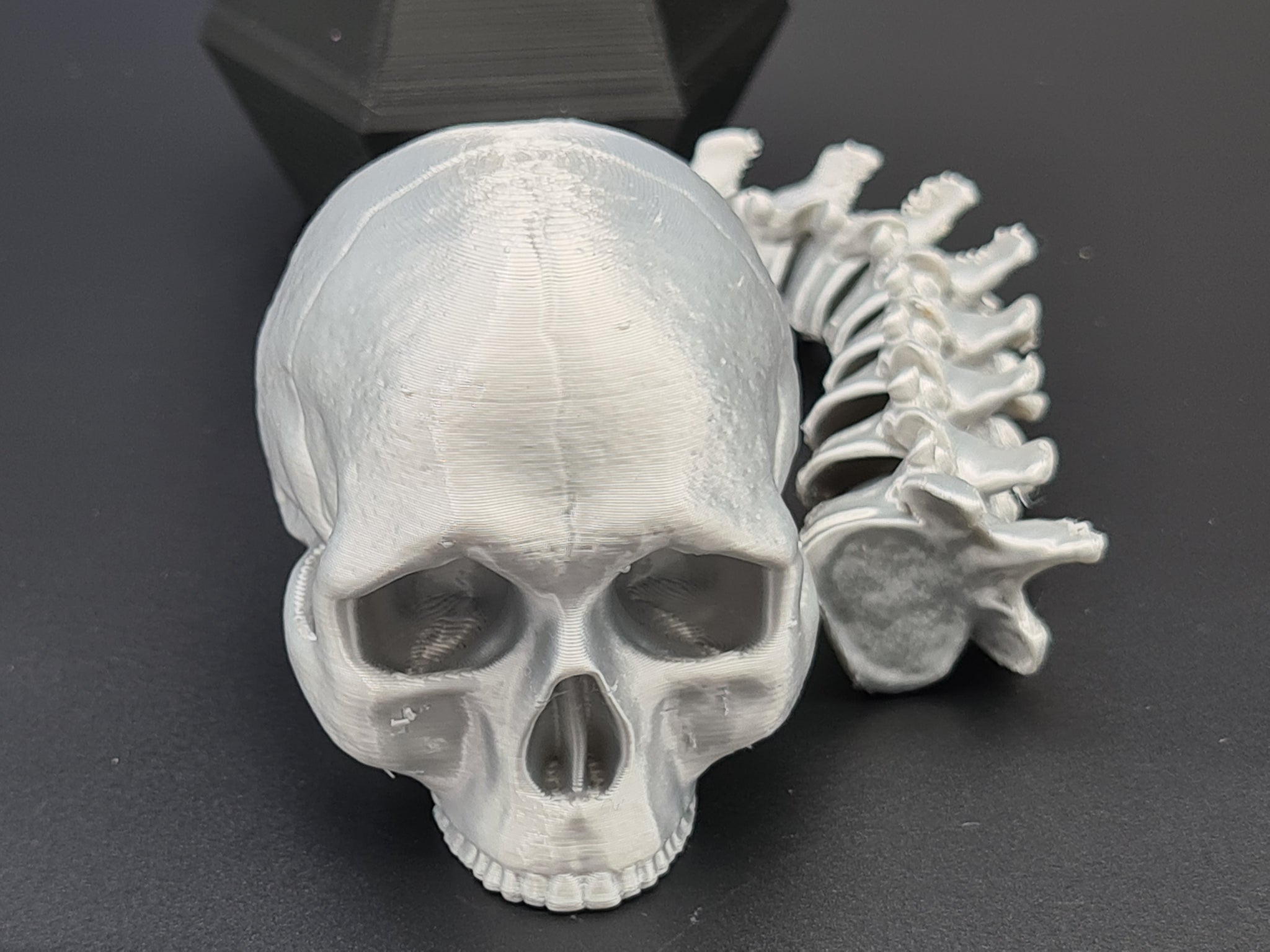 Silver Skull 3D Printed Display or Prop outlet Piece