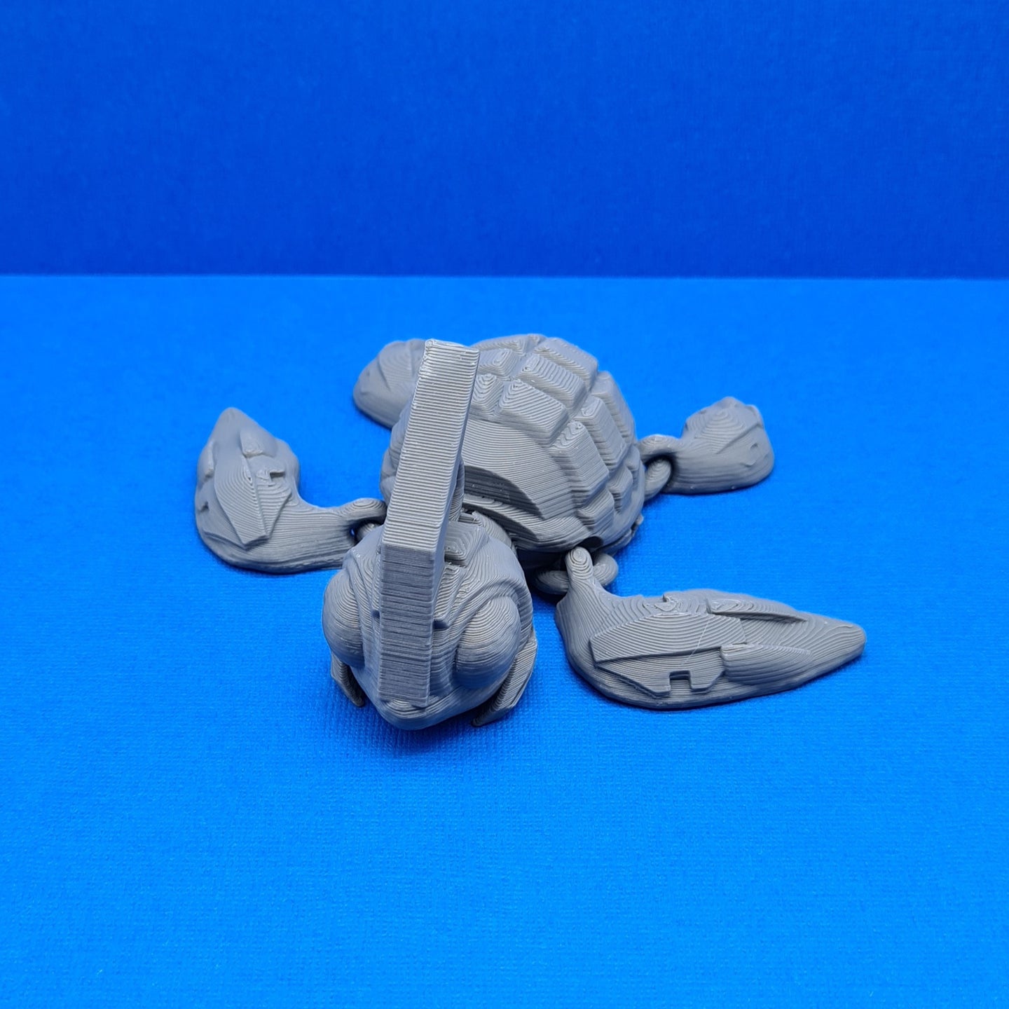 3d Printed Grey PLA Grenurtle Removable Head Cinderwing